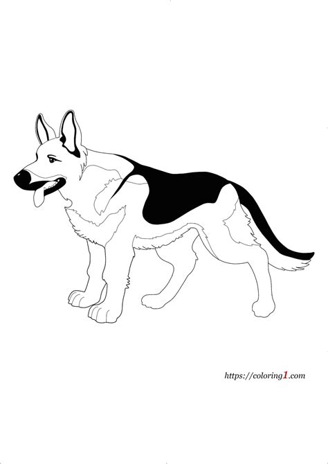 Dessin De Chien Berger Allemand A Imprimer Coloriage Berger Allemand