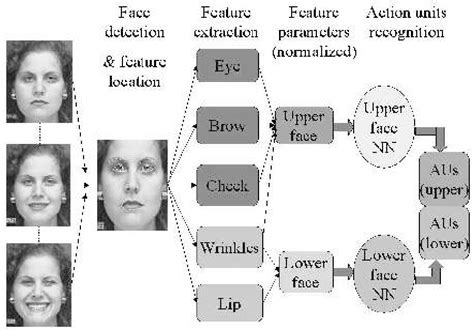 Reading Discreete Facial Expressions