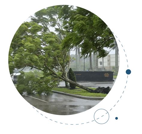 Florida Hurricane Insurance: What You Need to Know | ETA