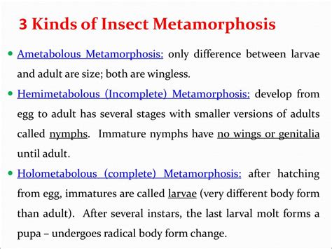 Difference Between Ametabolous And Hemimetabolous Compare, 51% OFF