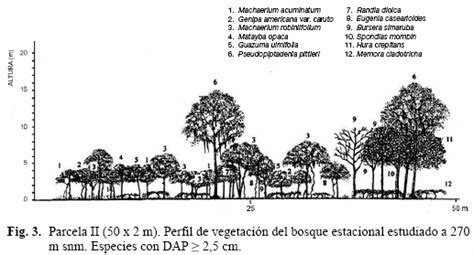 Caracterización florística y estructural de un bosque estacional en el