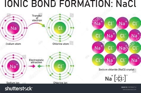 Formation Ionic Bond Sodium Chloride Nacl Hot Sex Picture