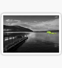 Nessie: Stickers | Redbubble