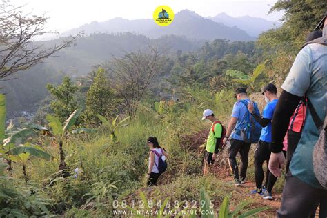 20 Rute Hiking Terfavorite Di Sentul Bogor