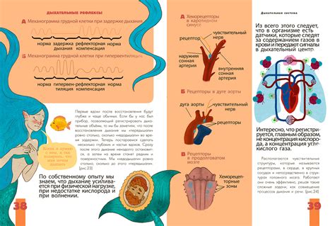 Illustrations for a book about the human body on Behance