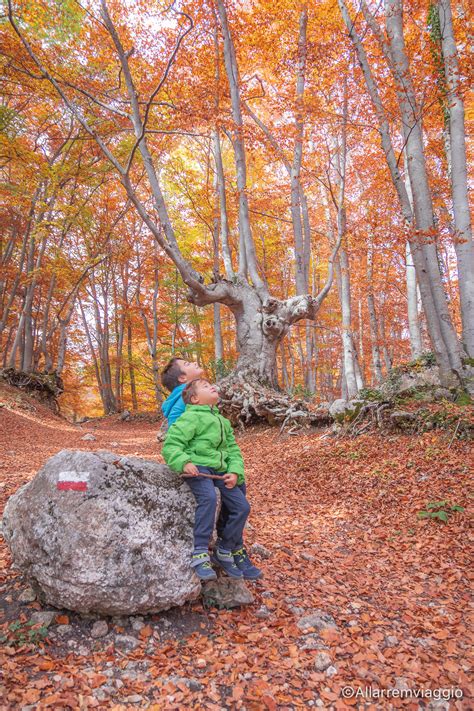 Un Esplosione Di Colori Dove Vedere Il Foliage In Abruzzo All