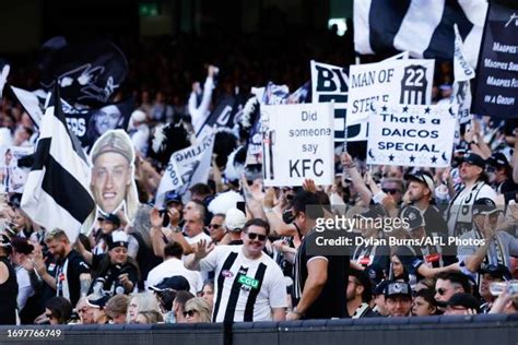 4618 Collingwood Magpies Afl Grand Final Stock Photos High Res