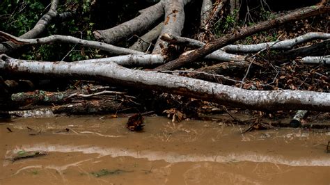 Flash flooding in Tennessee caused by heavy rain