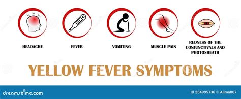 Yellow Fever Symptoms, Pictograms with Names of Individual Symptoms ...