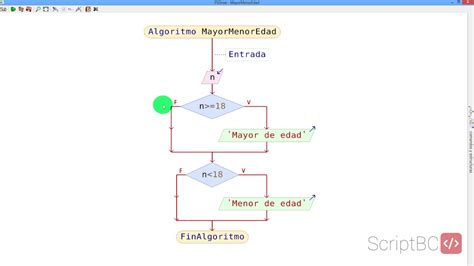 Determinar Si Es Mayor O Menor De Edad C Digos Y Algoritmos Resueltos