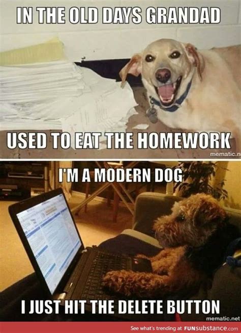 Dog Ate My Homework Funsubstance Funny Dog Memes Funny Dog