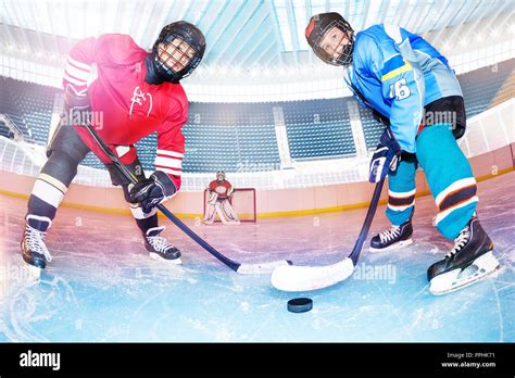 hockey players challenging  puck  ice rink stock photo alamy