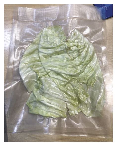 Cabbage Leaves In A Vacuum Sealed Pack Download Scientific Diagram