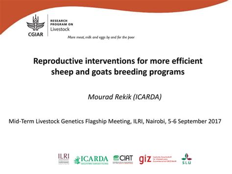 Reproductive Interventions For More Efficient Sheep And Goats Breeding