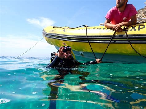 Sesimbra Plong E Sous Marine Dans La R Serve Marine D Arr Bida