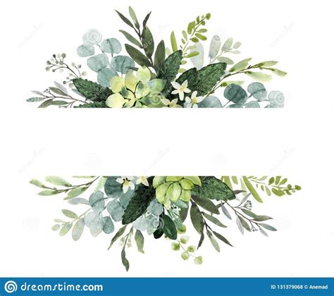 Wedding Greenery Frame Watercolor Illustration With Eucalyptus Twigs