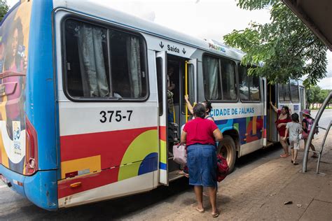 Transporte público gratuito terá reforço neste domingo 7 no dia do