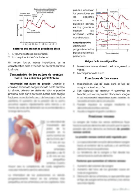 Solution Distensibilidad Vascular Y Funciones De Los Sistemas Arterial