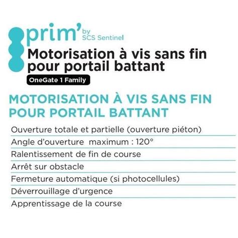 Motorisation Vis Sans Fin Pour Portail Battant T L Commandes