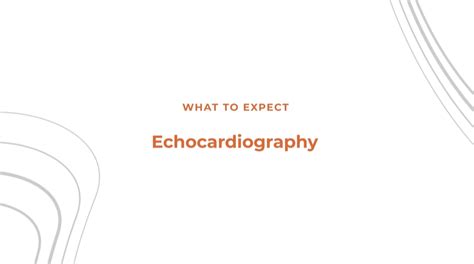 Echocardiogram Test Expectations And Results