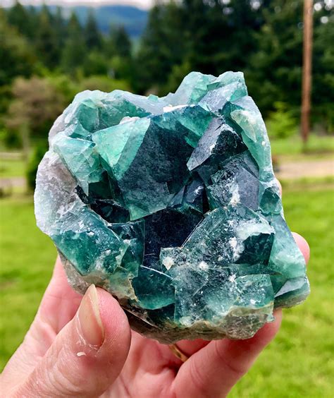 424g Green Cubic Fluorite Crystal Cluster Mineral Display Specimen