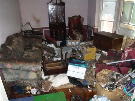 6 of the Most Bizarre Hoarding Situations We've Ever Had to Clean Up