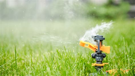 How To Replace A Sprinkler Head Nozzle Sprayer Review