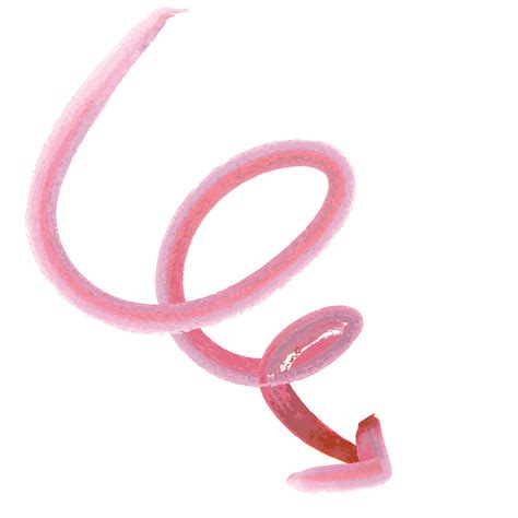 Curly Arrow In Watercolor Paint 10849735 PNG