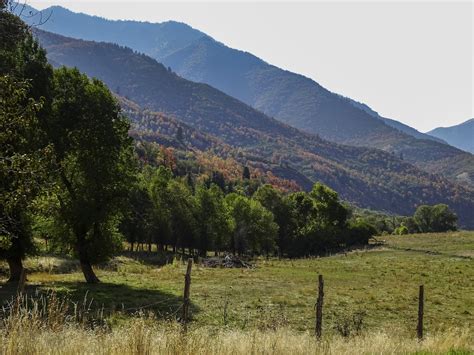 Walking Arizona: A Touch of Fall, Wasatch Mountains