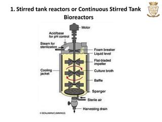 Types Of Fermenters Ppt