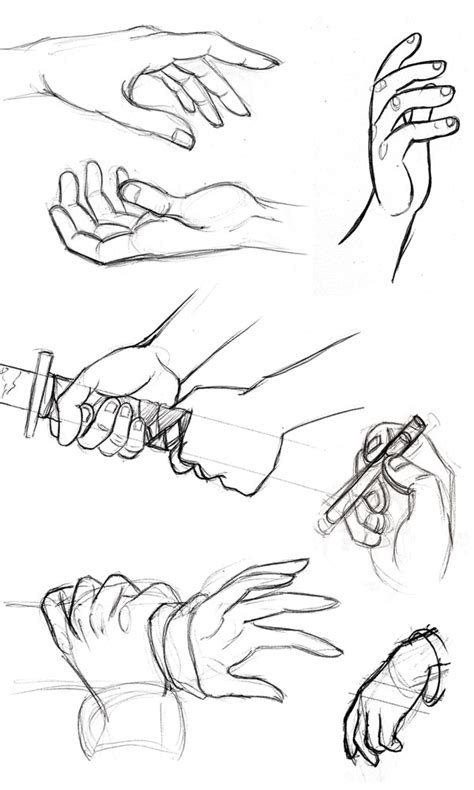 Human Anatomy Fundamentals How To Draw Hands Envato Tuts
