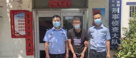 【风雷行动】丛台公安精准发力 连续抓获七名违法犯罪嫌疑人 案件 李飞宇 临漳