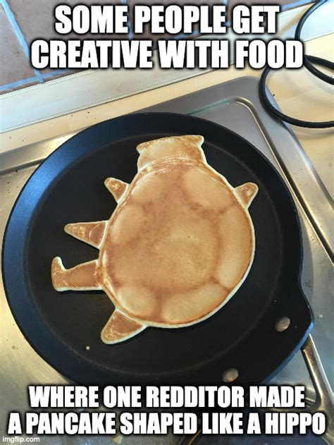 Hippo Shaped Pancake Imgflip