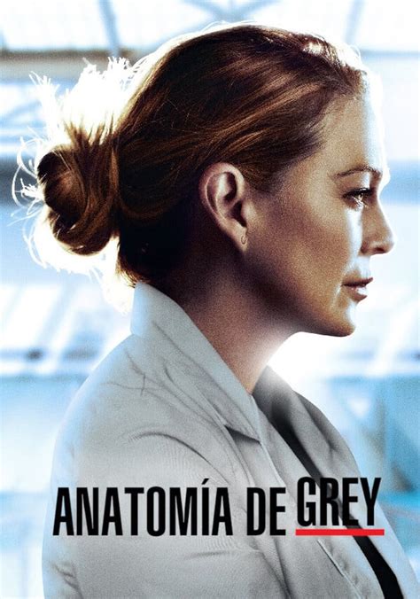 Grey S Anatomy Temporada 20 Ver Todos Los Episodios Online