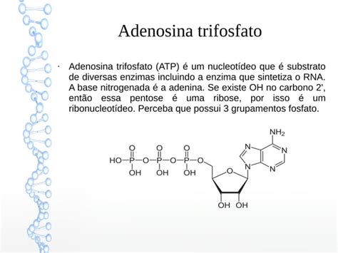 Introdu O Biologia Molecular Ppt