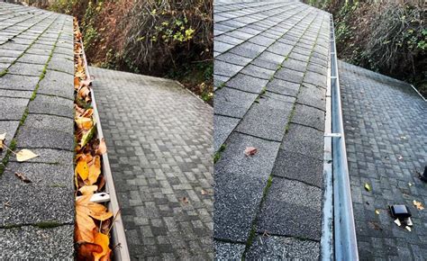 Gutter Cleaning Why Hire A Professional Gutter Seattle