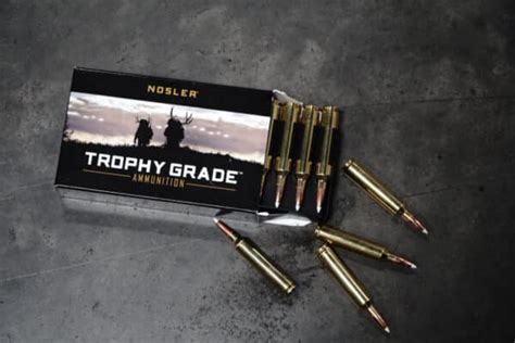 28 Nosler Vs 300 Winchester Magnum True Shot Ammo