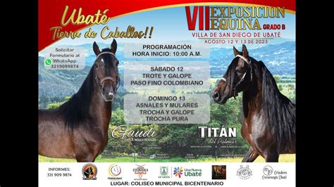 VII Exposición Equina Grado B UBATE día 1 YouTube