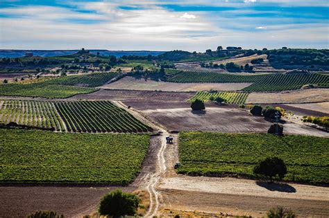 Bodega San Roque De La Encina En Burgos Vinos D O Ribera Del Duero