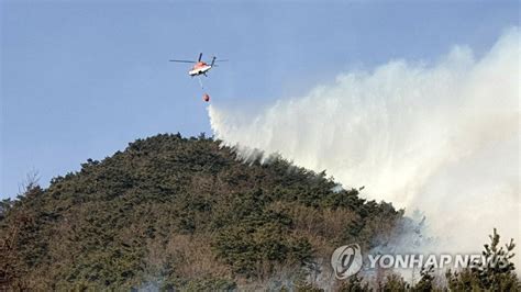 정선 북평면서 산불헬기 12대·51명 투입 진화 중 매일경제