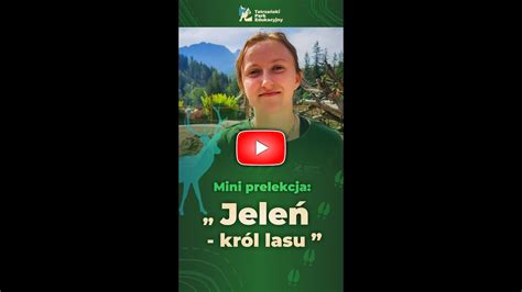 Jeleń król lasu w wesji mini czyli podsumownaie prelekcji z