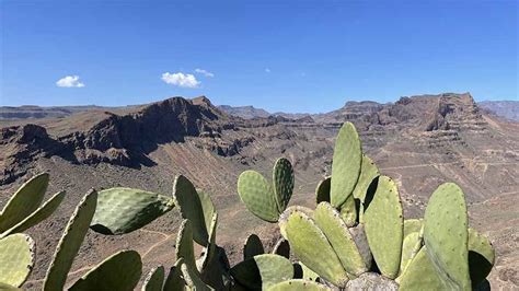 Wandelvakantie Naar Gran Canaria Hier Wil Je Heen Triptalk