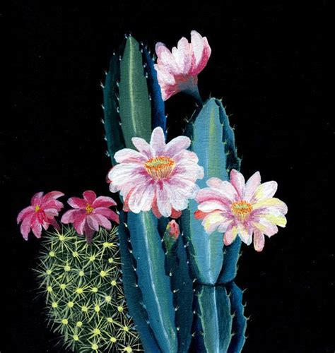 Laura Garcia Serventi Garden Illustration Cactus Paintings Cactus Art