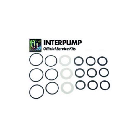 Interpump Servicerepair Kit 118 Benichem