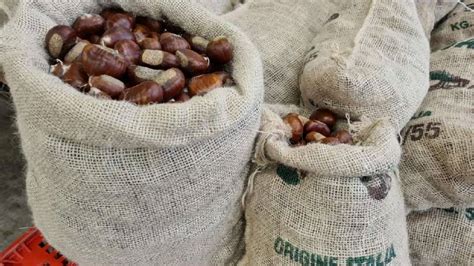 L Autunno Caldo Delle Castagne I Prezzi Sono Alle Stelle