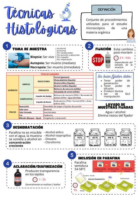 Resúmenes De Técnicas Histológicas Descarga Apuntes De Técnicas