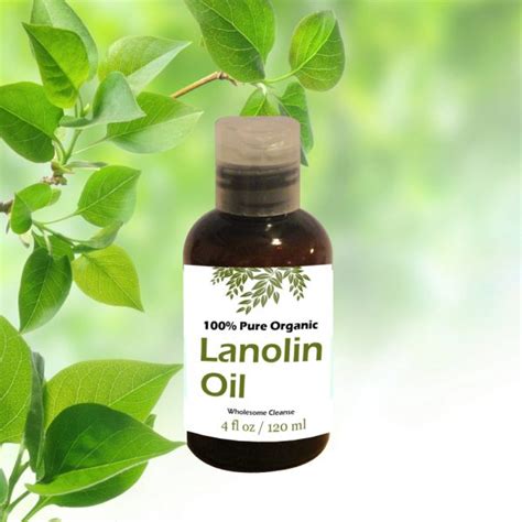 Lanolin Oil - By Herbal Flame