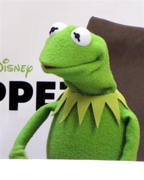 MR. WILL-W.:POP MAVEN: INTERVIEW: KERMIT THE FROG ON "THE MUPPETS"