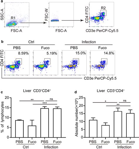 Flow Cytometry Analysis Of Total Cd3⁺cd4⁺ T Cells In Mice A Gating