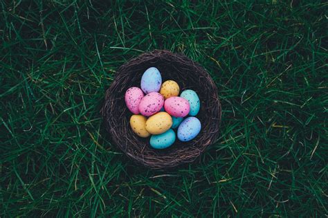 Fondos de pantalla comida Huevos césped Cestas verde Nidos